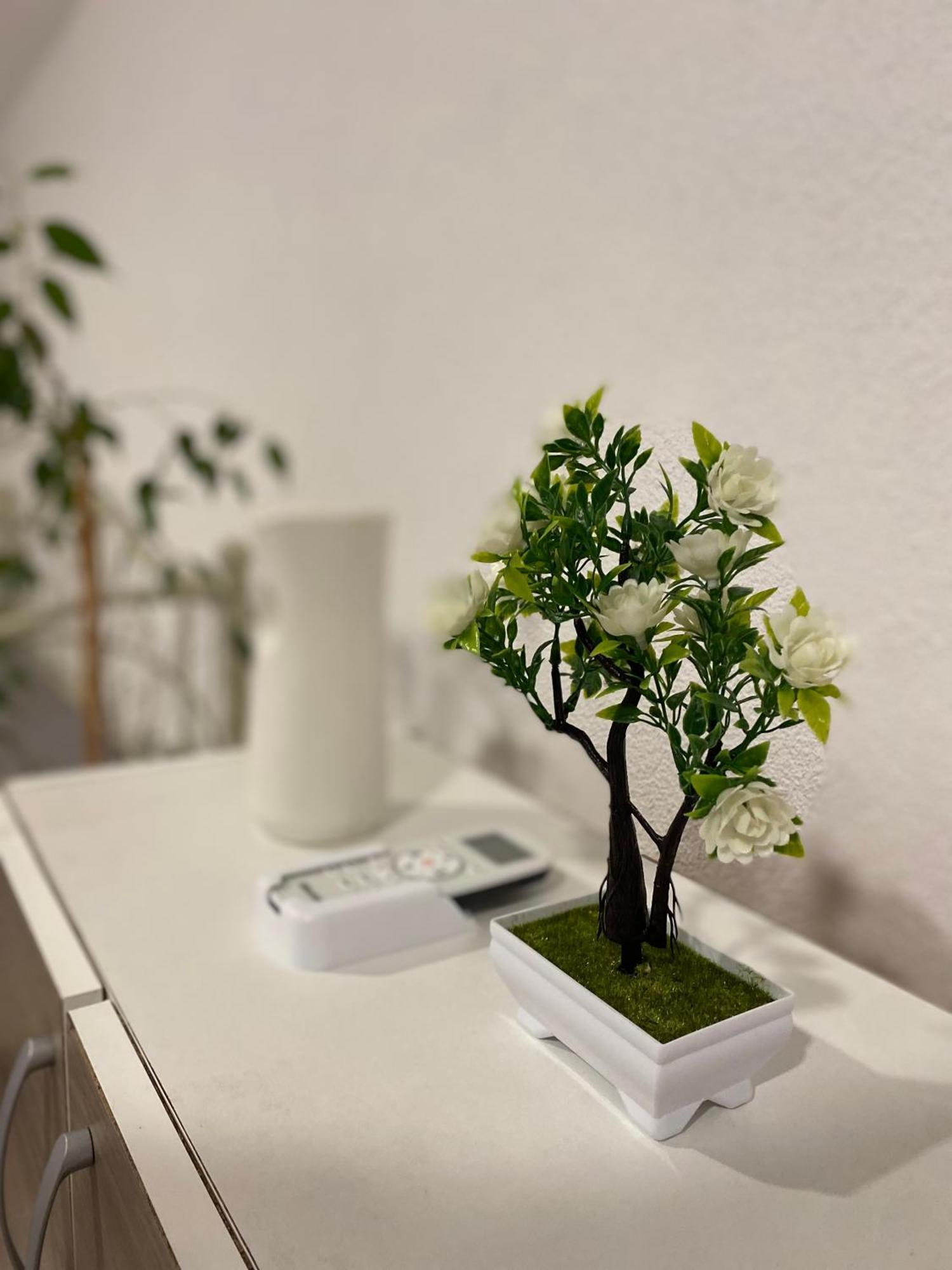Elma Ferienhaus